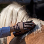 Pferdepflege und Hygiene
