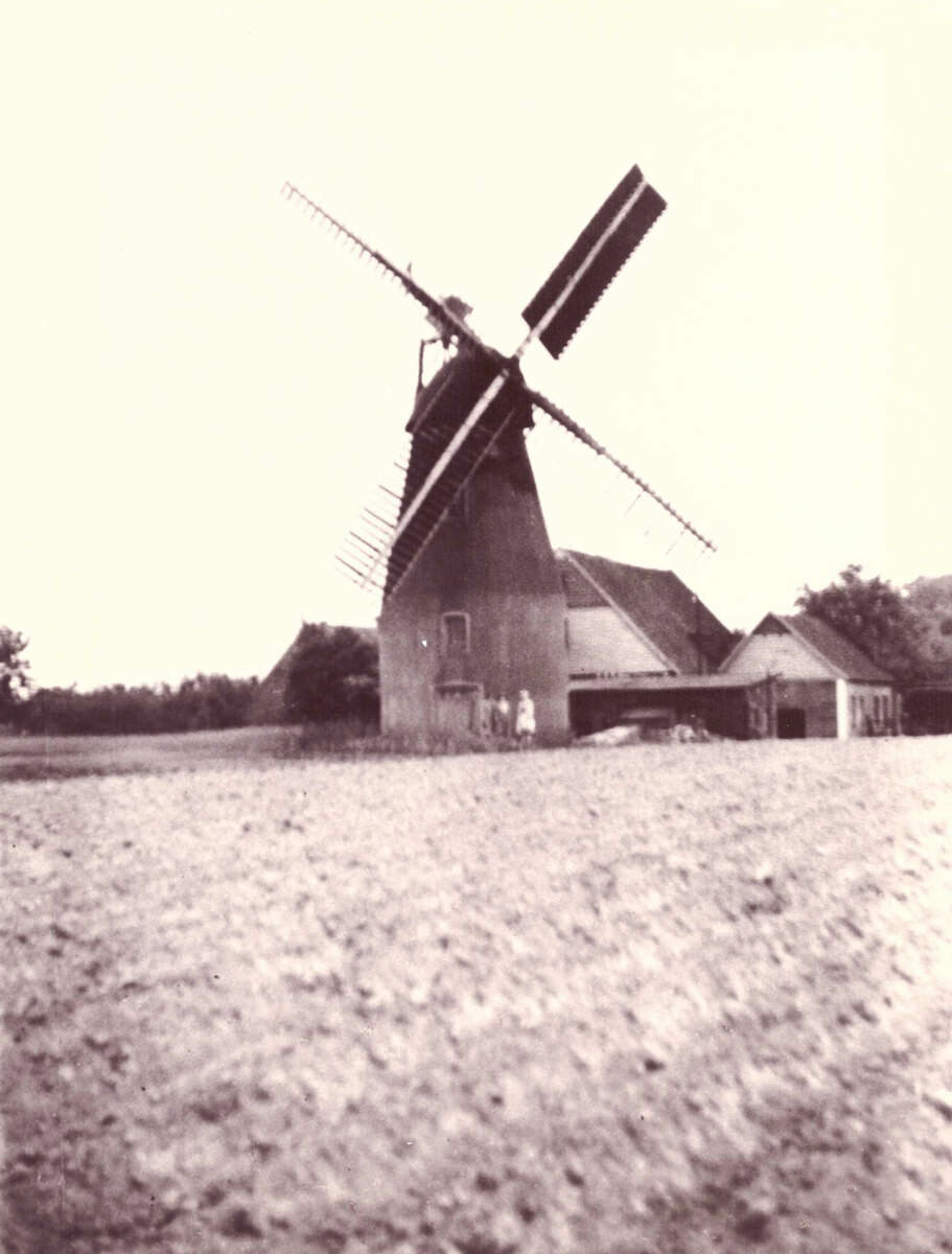 Tiernahrung Lindemeyer alte Mühle
