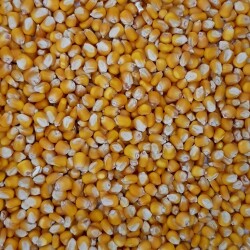 Französischer Mais extra klein - 25kg