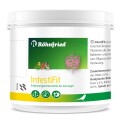 IntestiFit - 125g
