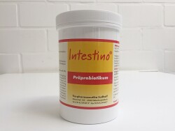 Intestino - 500g